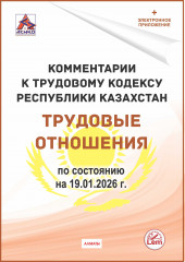 Комментарии к Трудовому кодексу на 2024 год. Трудовые отношения