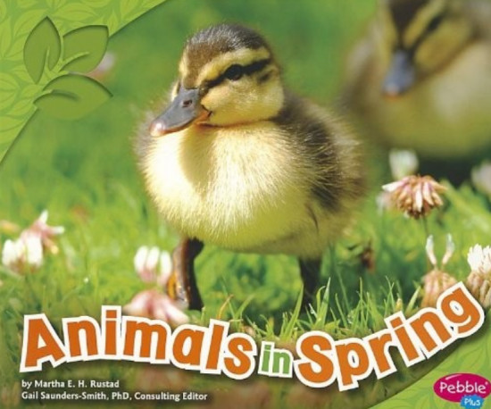 Animals in Spring