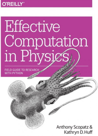 Effective Computation in Physics