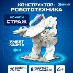 Конструктор электронный «Ночной страж»
