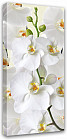 Картина на деревянном подрамнике «Белая орхидея»