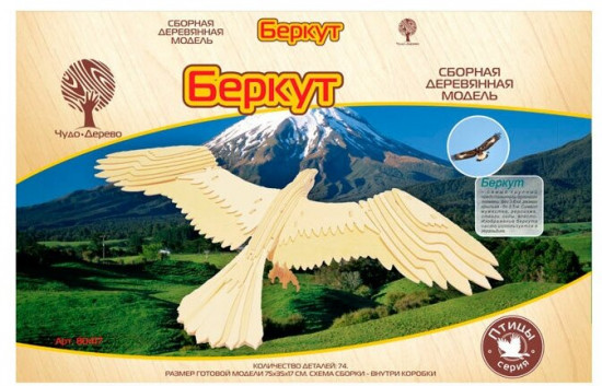 Модель сборная деревянная «Беркут»