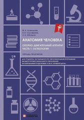 Анатомия человека. Опорно-двигательный аппарат. Часть 1
