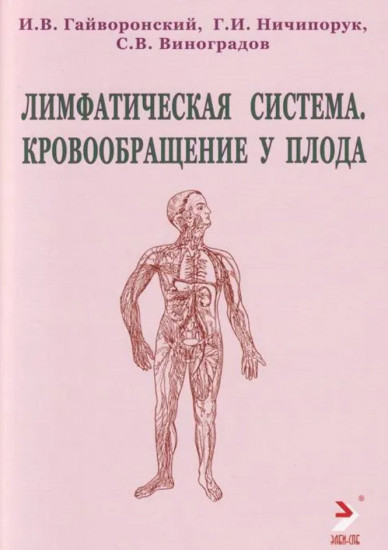 Лимфатическая система. Кровообращение у плода