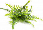 Ветка искусственная «Папоротник»