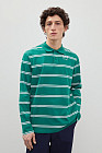 519 mc clover