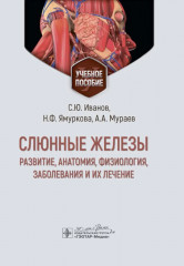 Слюнные железы. Развитие, анатомия, физиология