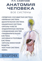 Анатомия человека. 80 карточек. Все системы