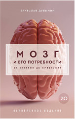 Мозг и его потребности 2.0. От питания до признания