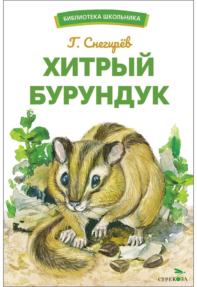 Хитрый бурундук | Библиотека школьника