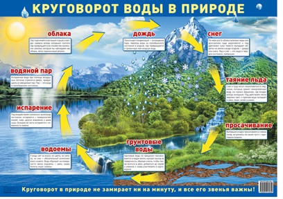Круговорот воды в природе. Демонстрационный плакат А2