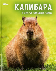 Капибара и другие забавные звери