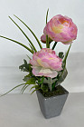 Композиция в горшочке «Пионы»