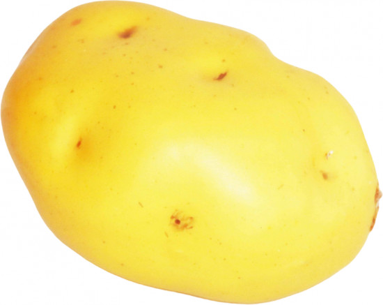 Муляж «Картофель»