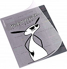 Тетрадь ученическая с пластиковой обложкой «Информатика»