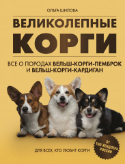 Великолепные корги. Всё о породах вельш-корги-пемброк