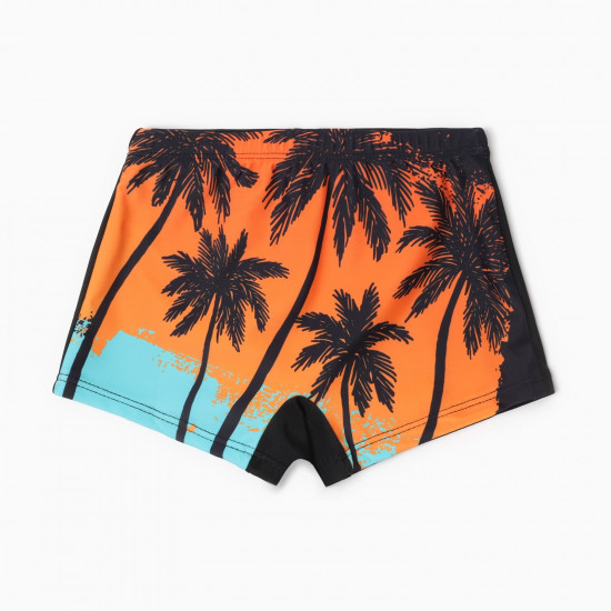 Плавки купальные для мальчиков