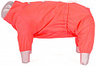 XL
