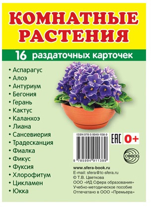 Раздаточные карточки «Комнатные растения»