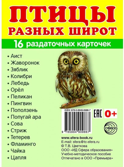 Раздаточные карточки «Птицы разных широт»
