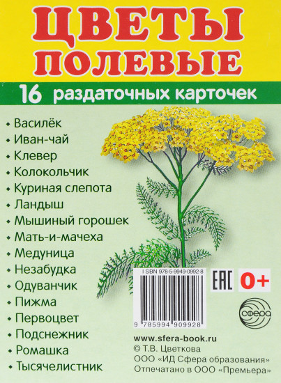 Раздаточные карточки «Цветы полевые»