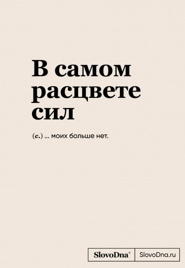 Блокнот «В самом расцвете сил»