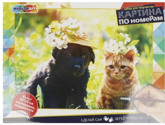 Картина по номерам «Кот и собака»