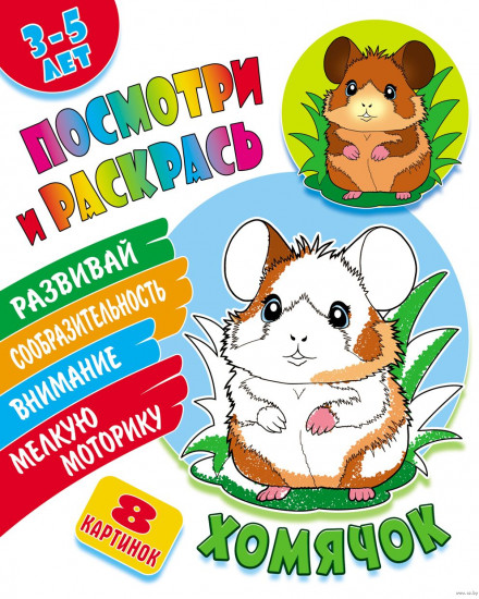 Посмотри и раскрась. Хомячок