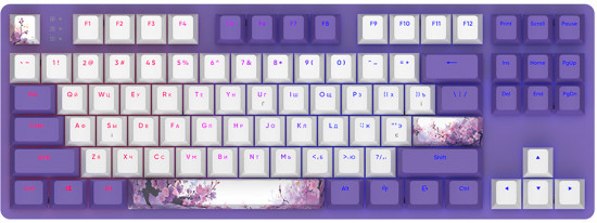 Клавиатура Dark Project DPO 87 Violet Horizons