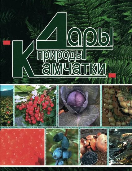 Дары природы Камчатки
