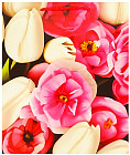 26 × 14 × 32 см