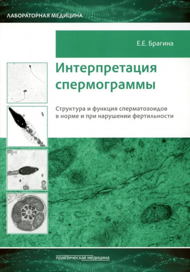 Интерпретация спермограммы. Структура и функция