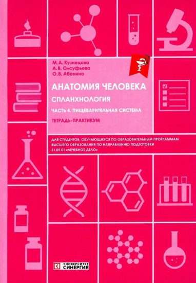 Анатомия человека. Спланхнология. Часть 4