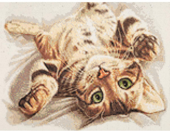 Мозаика алмазная «Бенгальский котенок»