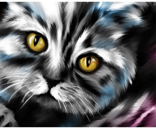 Вышивка алмазная «Кот»