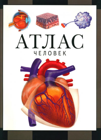 Человек. Атлас
