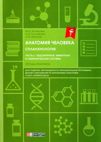 Анатомия человека. Спланхнология Часть 6