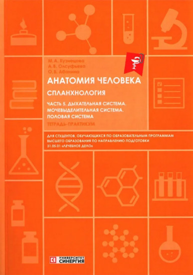 Анатомия человека. Спланхнология. Часть 5