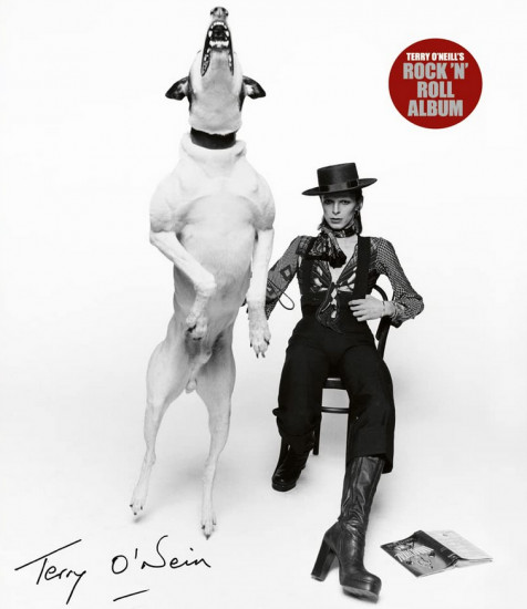 The A-Z of Rock ‘N’ Rol