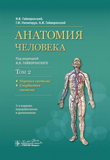 Анатомия человека: Учебник. Том 2