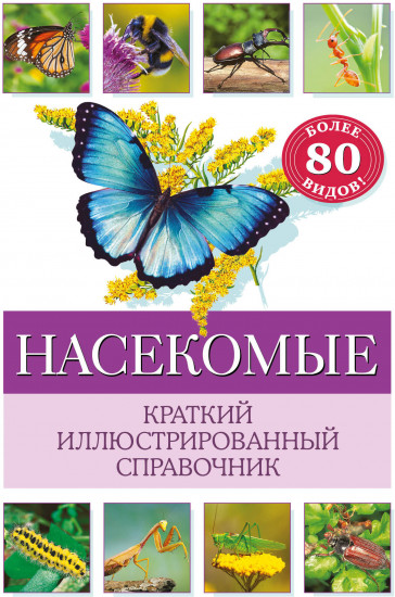 Насекомые