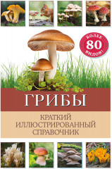 Грибы. Краткий иллюстрированный справочник