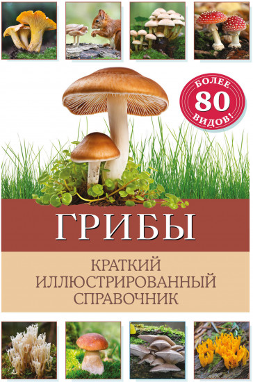 Грибы. Краткий иллюстрированный справочник