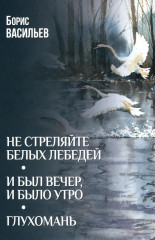 Не стреляйте белых лебедей. И был вечер