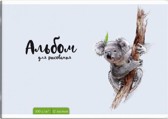 Альбом для рисования «Коала»