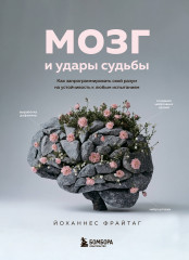 Мозг и удары судьбы