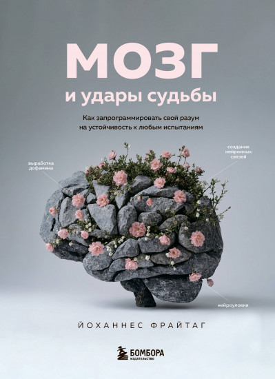 Мозг и удары судьбы