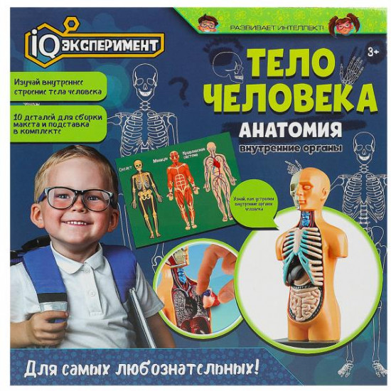Набор для опытов «Тело человека. Анатомия: внутренние органы»