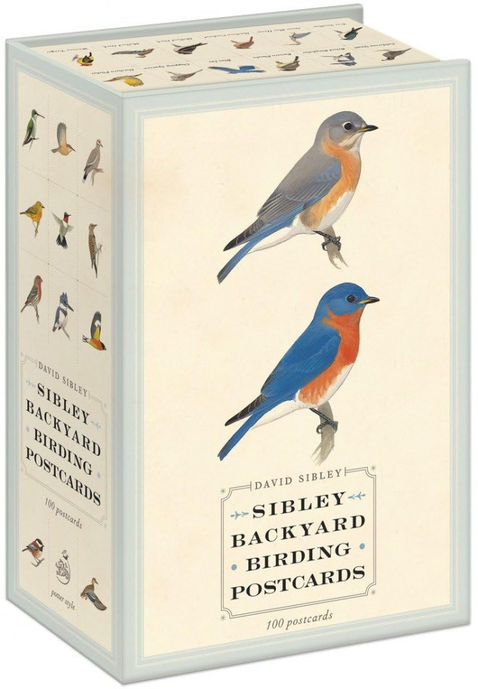 Sibley Backyard Birding Postcards. 100 Postcards
