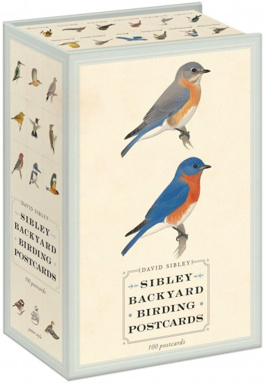 Sibley Backyard Birding Postcards. 100 Postcards